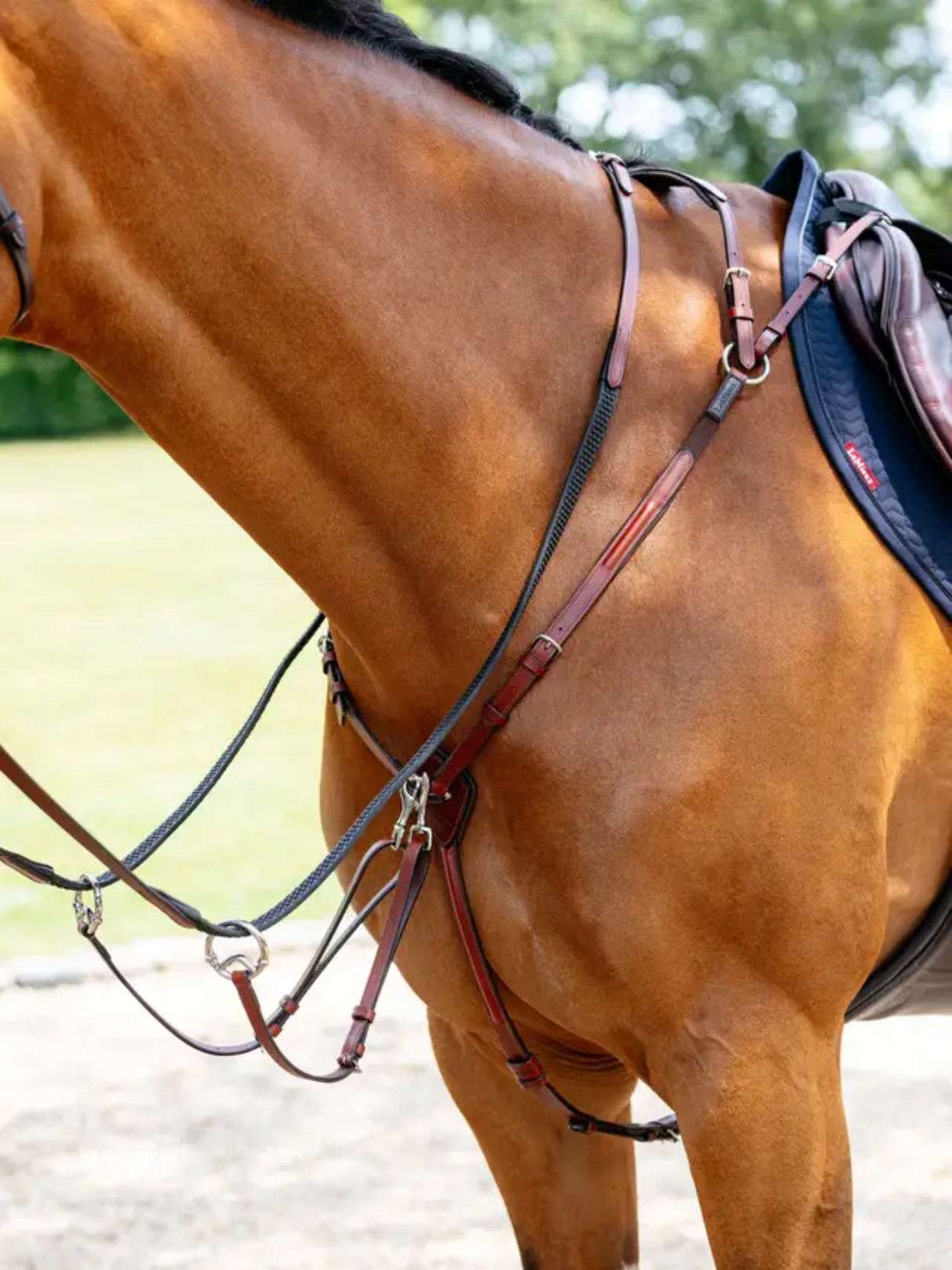 LeMieux Breastplate (D-Ring Attachment) Chestnut