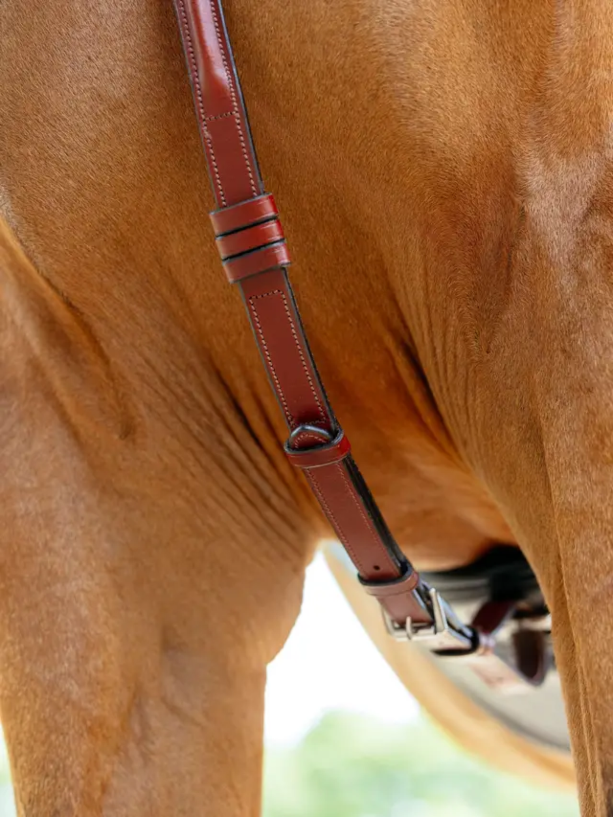 LeMieux Breastplate (D-Ring Attachment) Chestnut