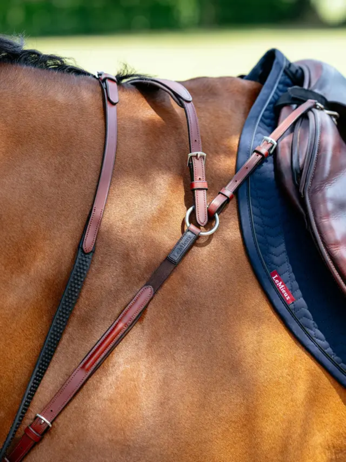 LeMieux Breastplate (D-Ring Attachment) Chestnut