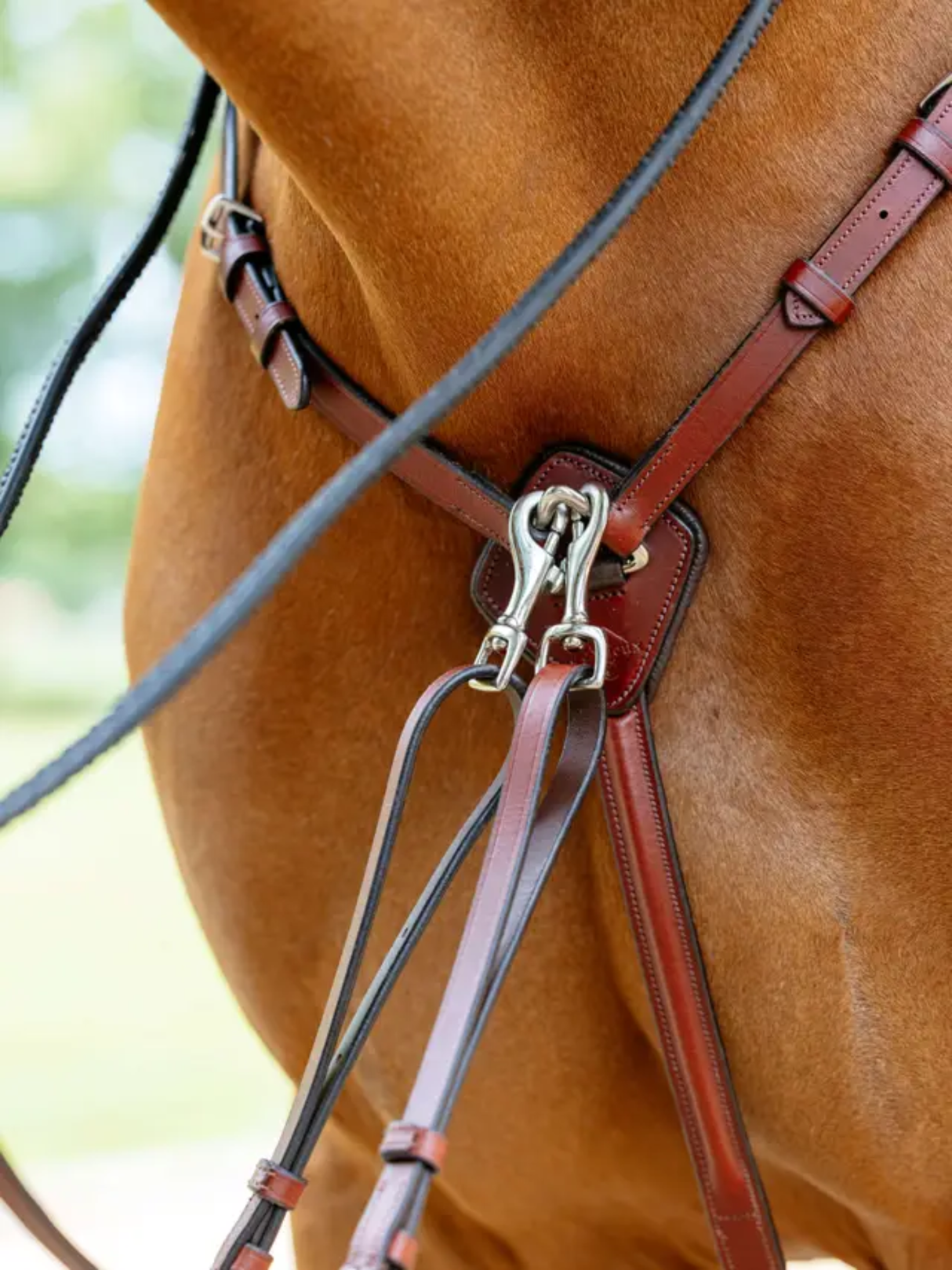 LeMieux Breastplate (D-Ring Attachment) Chestnut