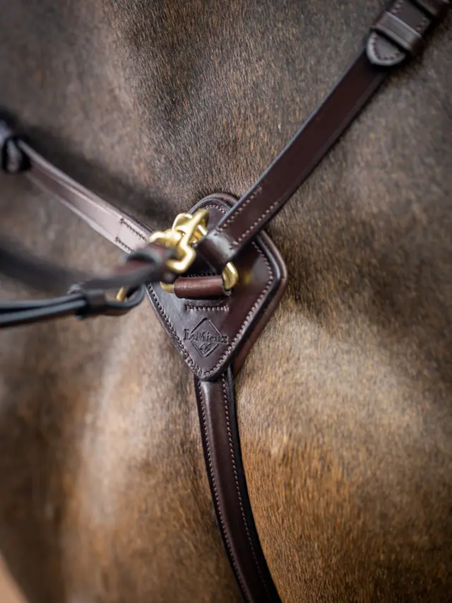 LeMieux Breastplate (D-Ring Attachment) Havana/Brass