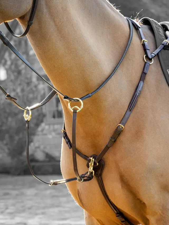 LeMieux Breastplate (D-Ring Attachment) Havana/Brass