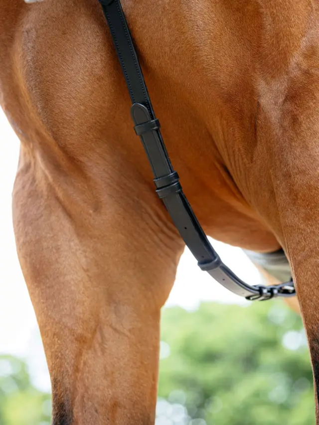 LeMieux Kudos Bridge Breastplate Black