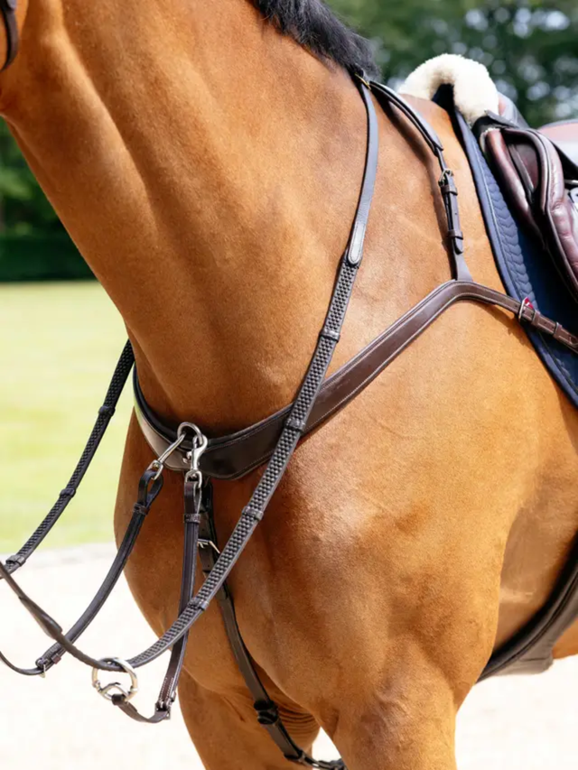 LeMieux Kudos Bridge Breastplate Havana