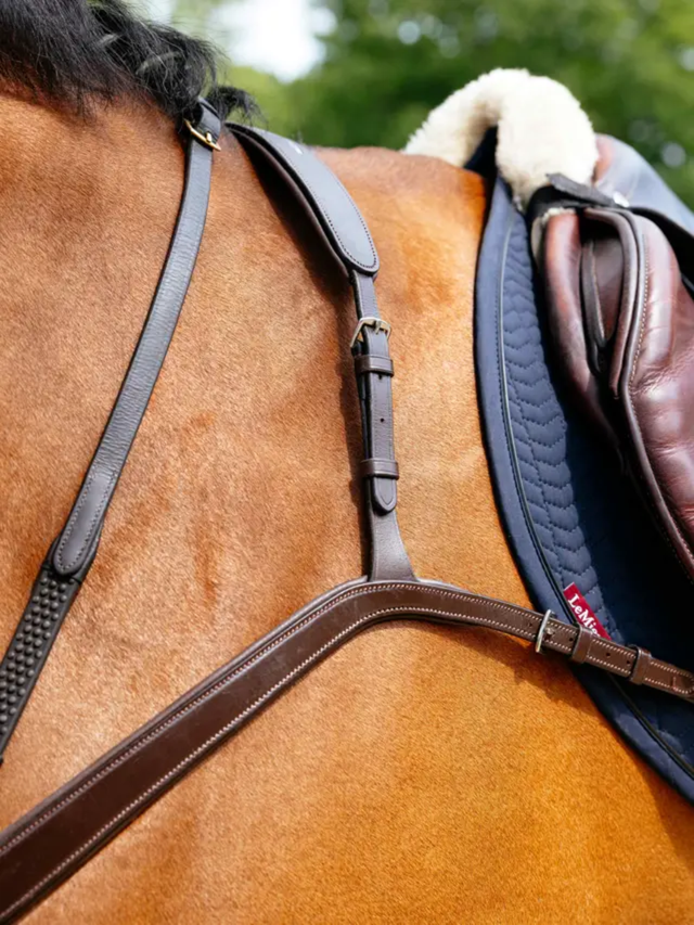 LeMieux Kudos Bridge Breastplate Havana