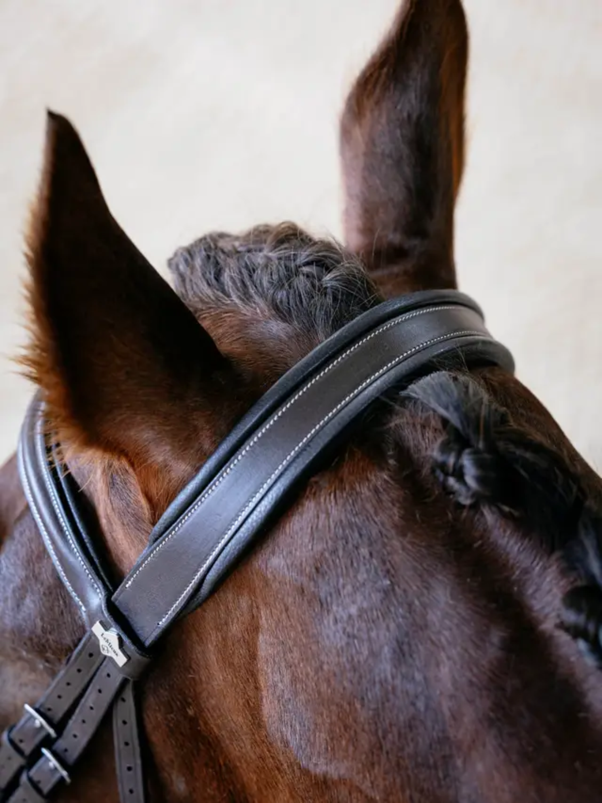 LeMieux Arika Split Noseband Bridle