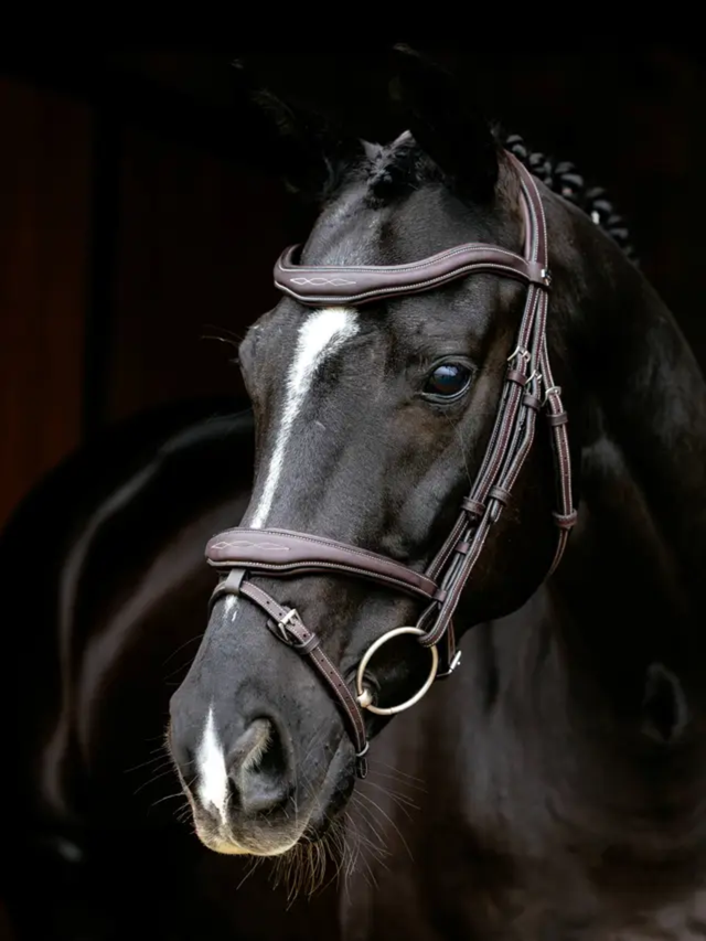 LeMieux Kudos Contour Flash Bridle