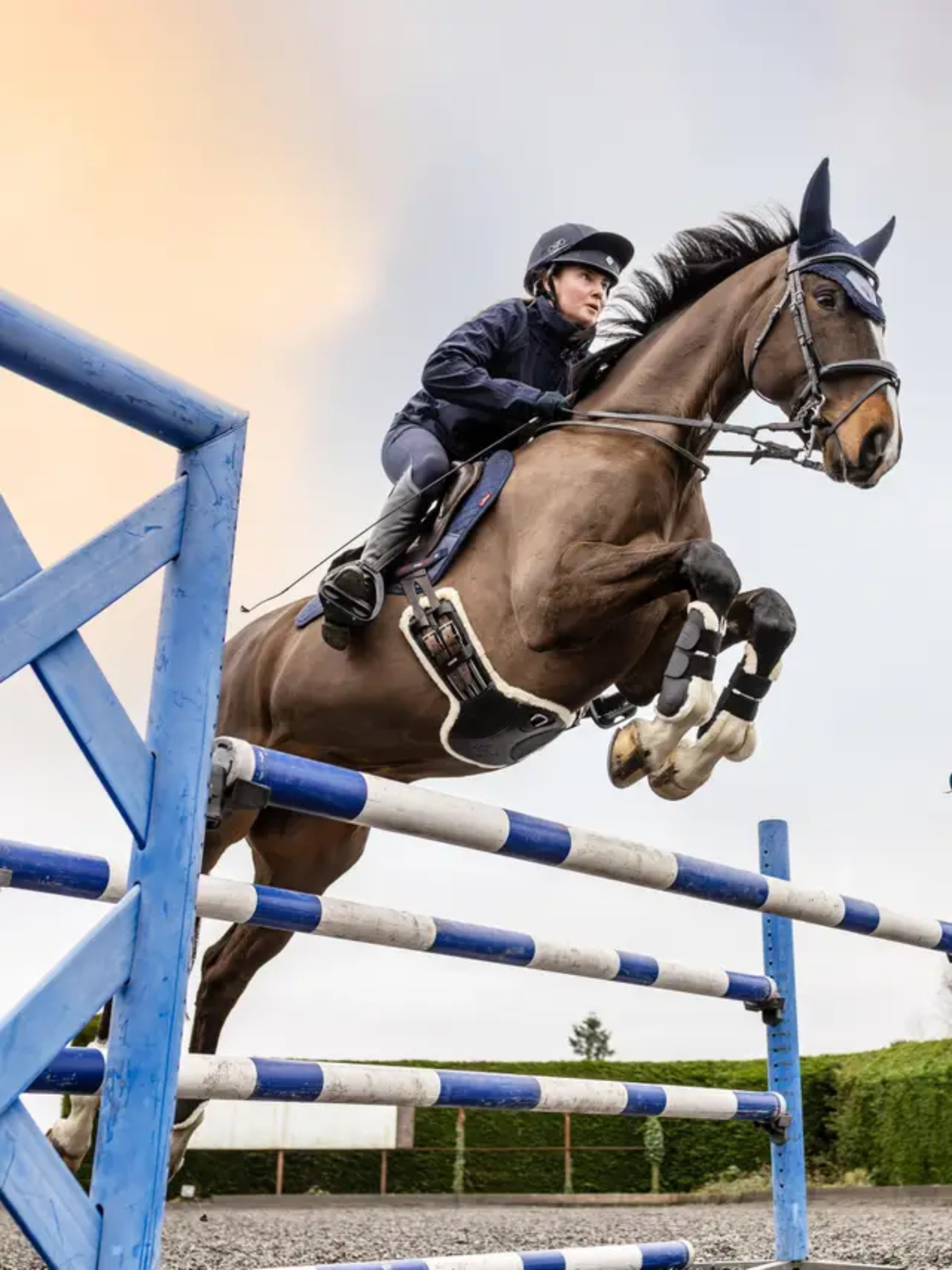 LeMieux Arika Simuwool Contoured Short Stud Girth