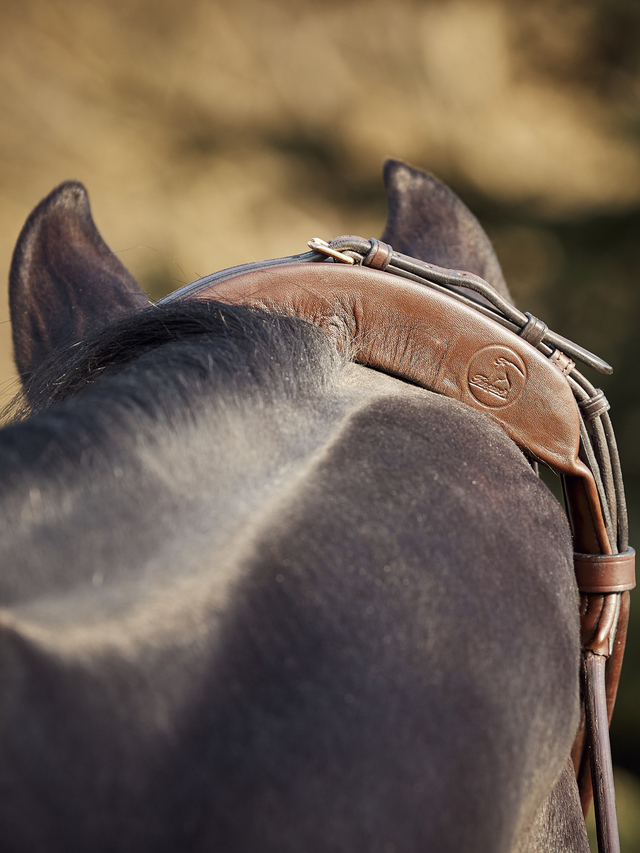 Finesse Himalayas Snaffle Bridle Version 2.0