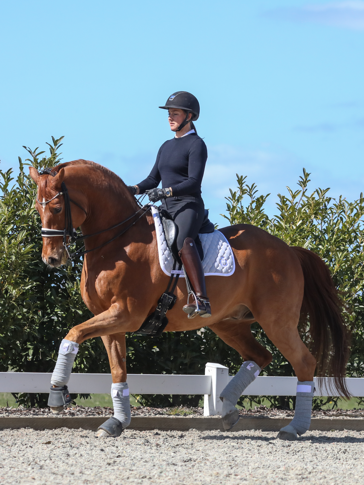 Finesse Cassidy Double Bridle 2.0