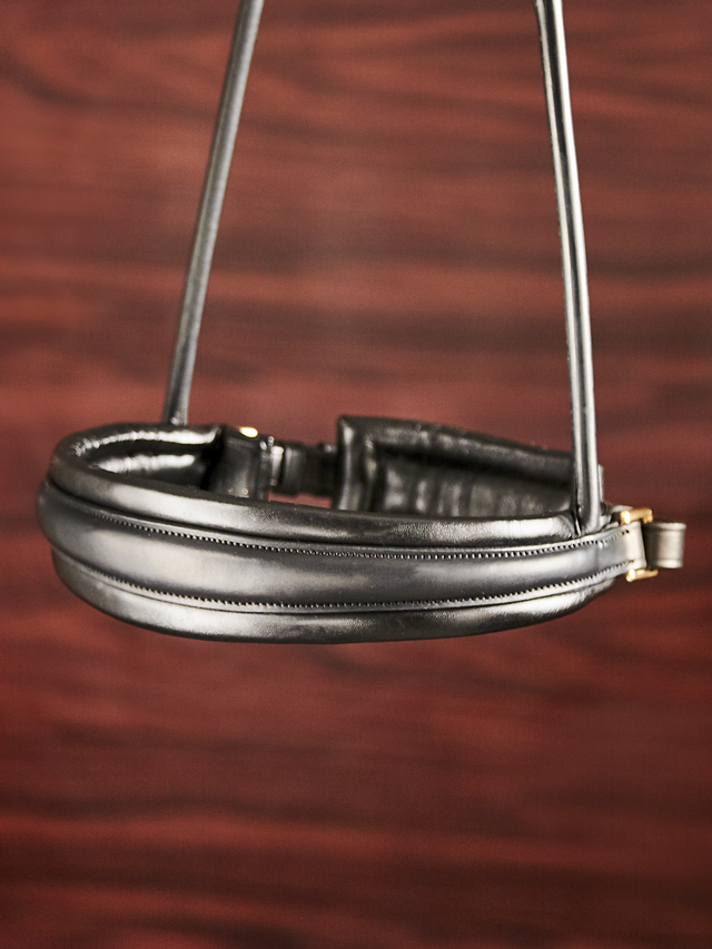 Finesse Cassidy Double Bridle 2.0