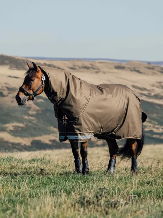LeMieux Arika Ripstop 50g Turnout Rug Alpine