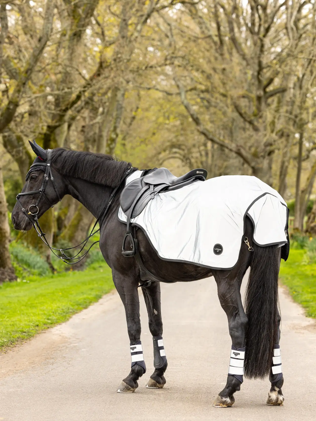 LeMieux Reflective Exercise Sheet Silver