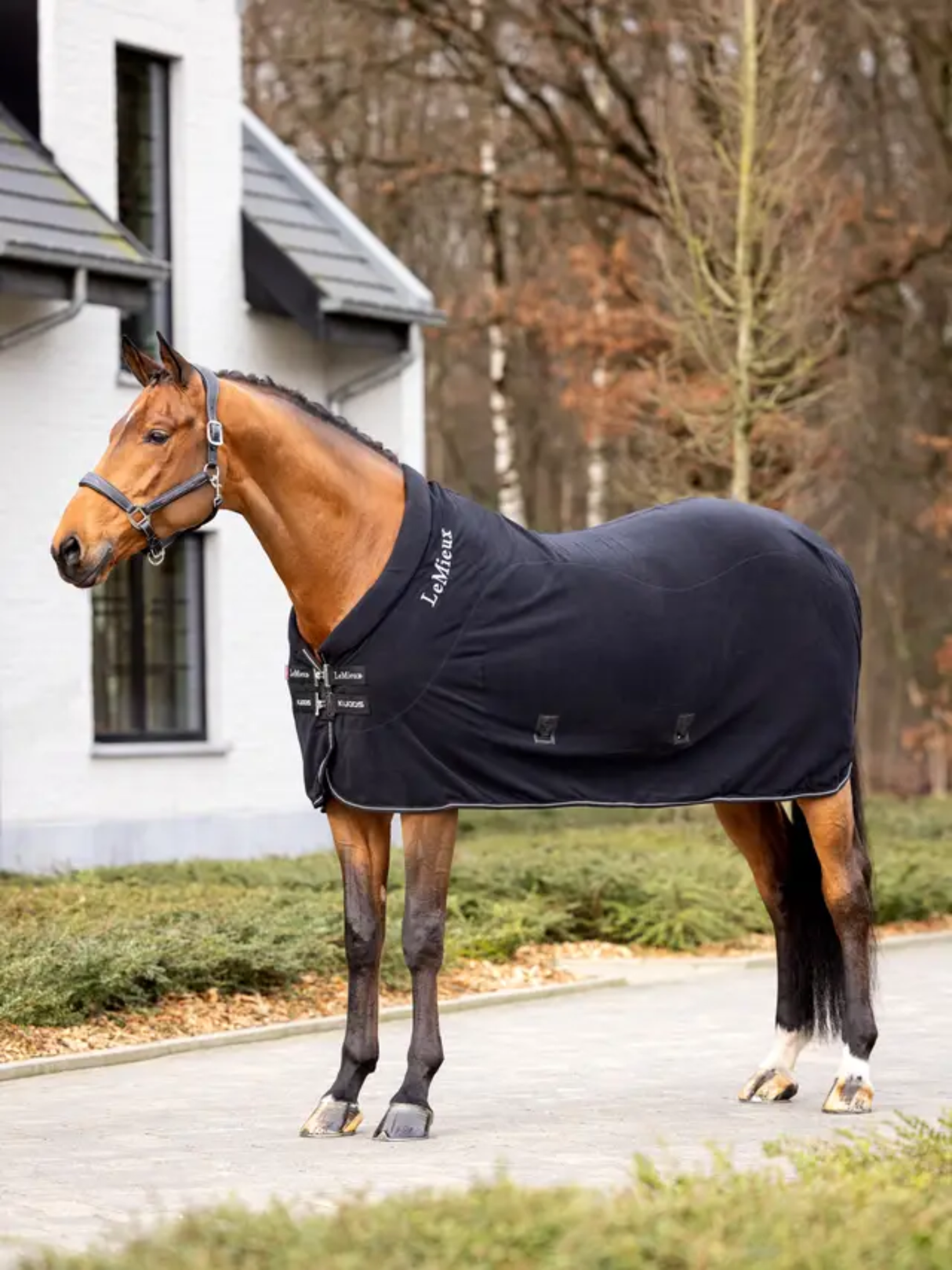 LeMieux Kudos Fleece Cooler Rug Black