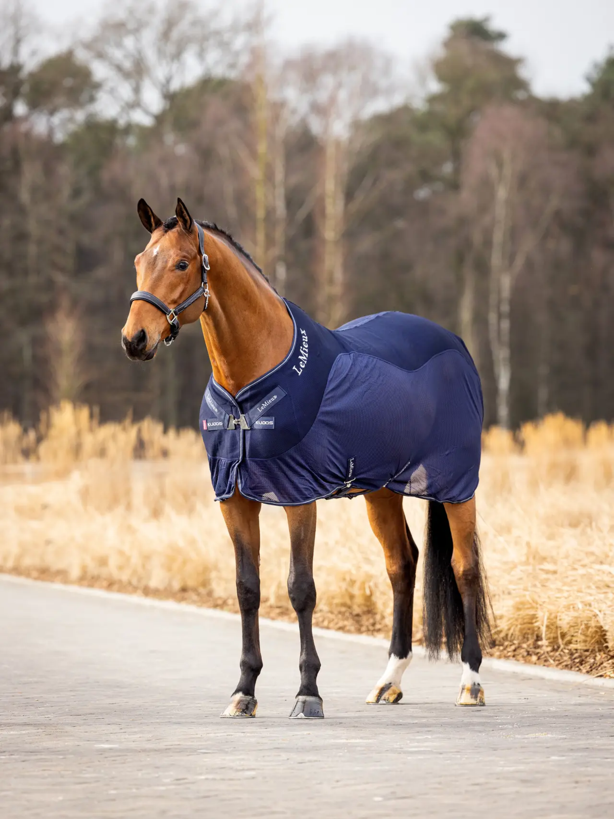 LeMieux Kudos Mesh Sports Cooler Rug Navy