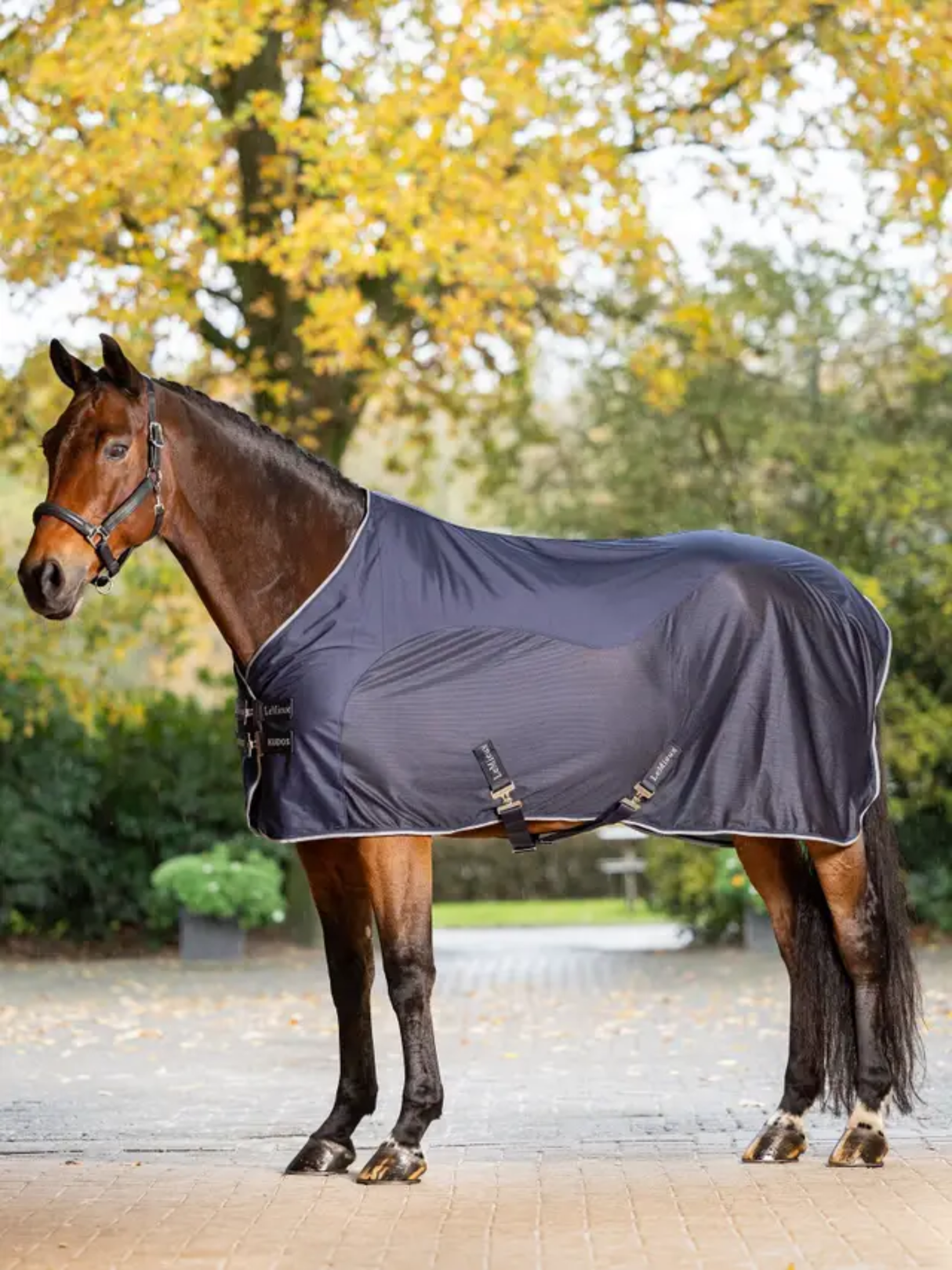 LeMieux Kudos Hybrid Cooler Navy
