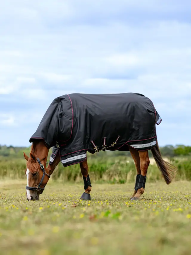 LeMieux Arika Storm-Tek Rug 50g Black