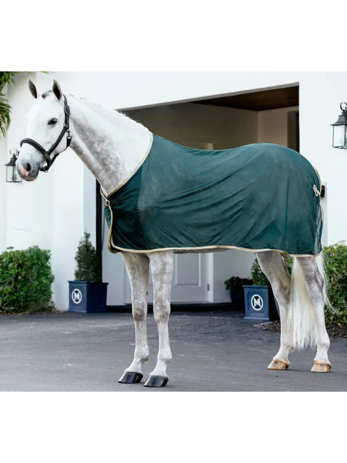 LeMieux Competition Scrim Cooler Green