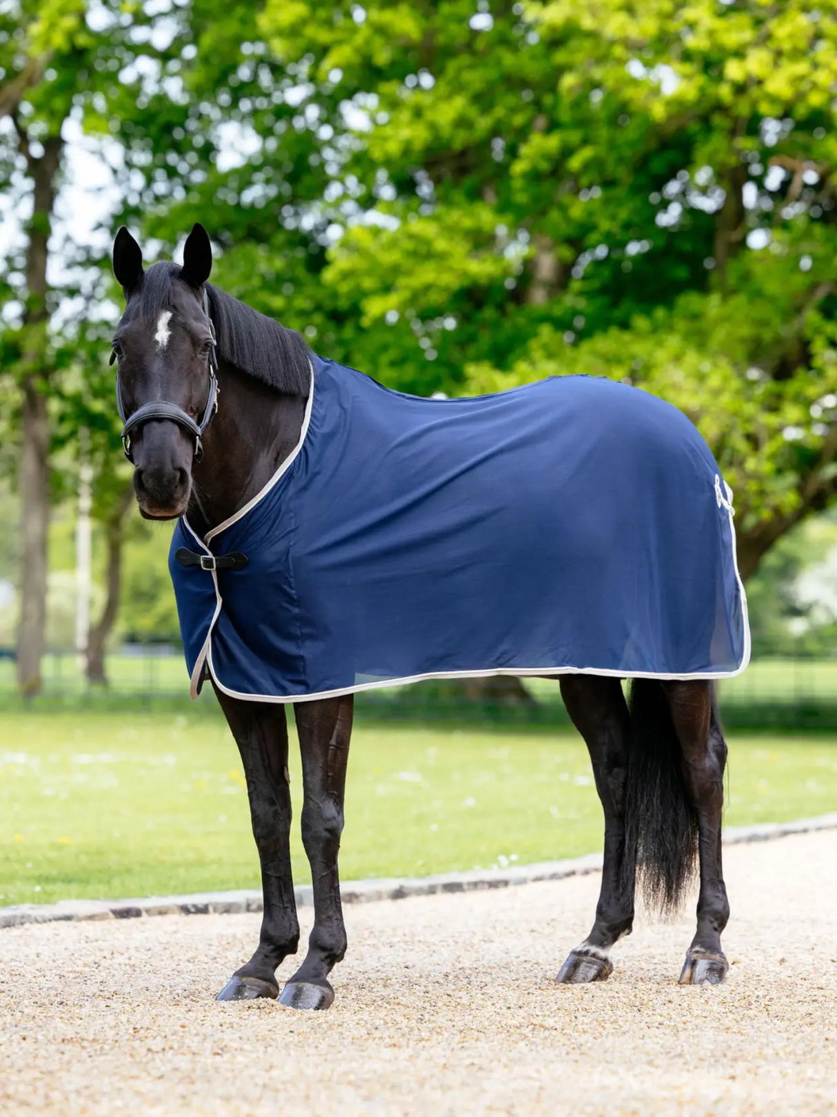 LeMieux Competition Scrim Cooler Navy