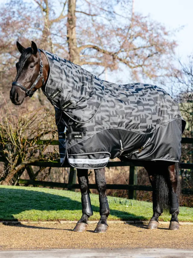 LeMieux Arika Reflective 0g Turnout Rug Black