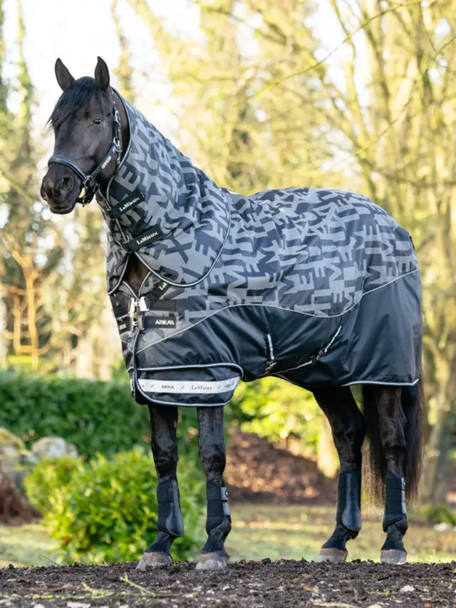 LeMieux Arika Reflective 100g Turnout Rug Black