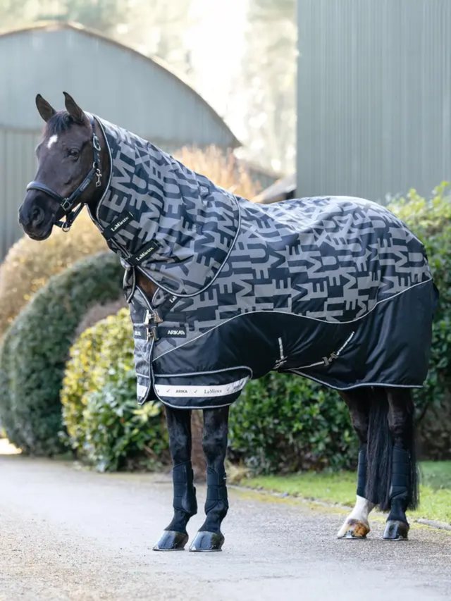 LeMieux Arika Reflective 200g Turnout Rug Black