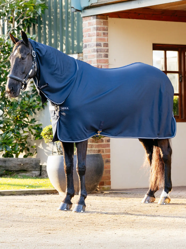 LeMieux Arika DryEase Rug Navy