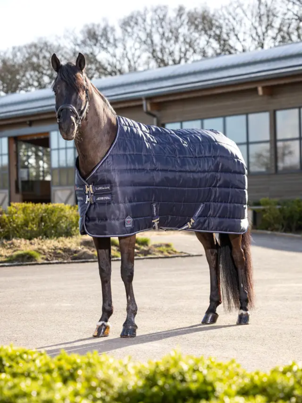 LeMieux Arika Stable-Tek 200g Navy