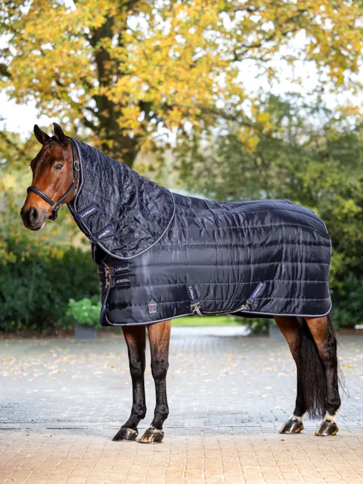 LeMieux Arika Stable-Tek 200g Navy