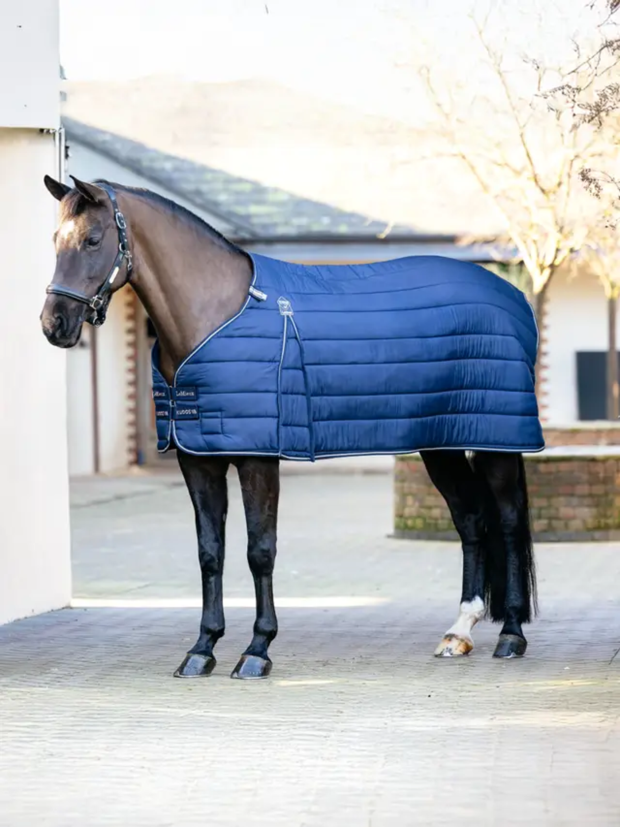 LeMieux Kudos Rug Liner 100g Navy