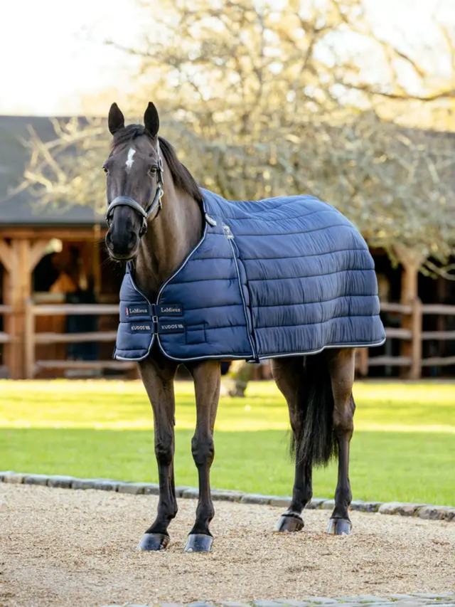 LeMieux Kudos Rug Liner 100g Navy