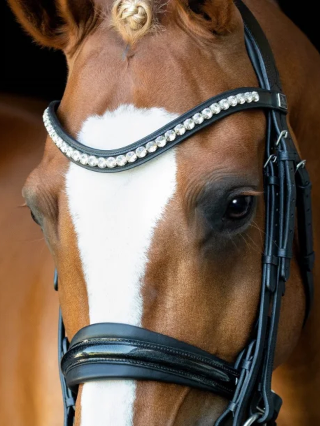 SD Design Mystery Double Bridle Black/Glitter