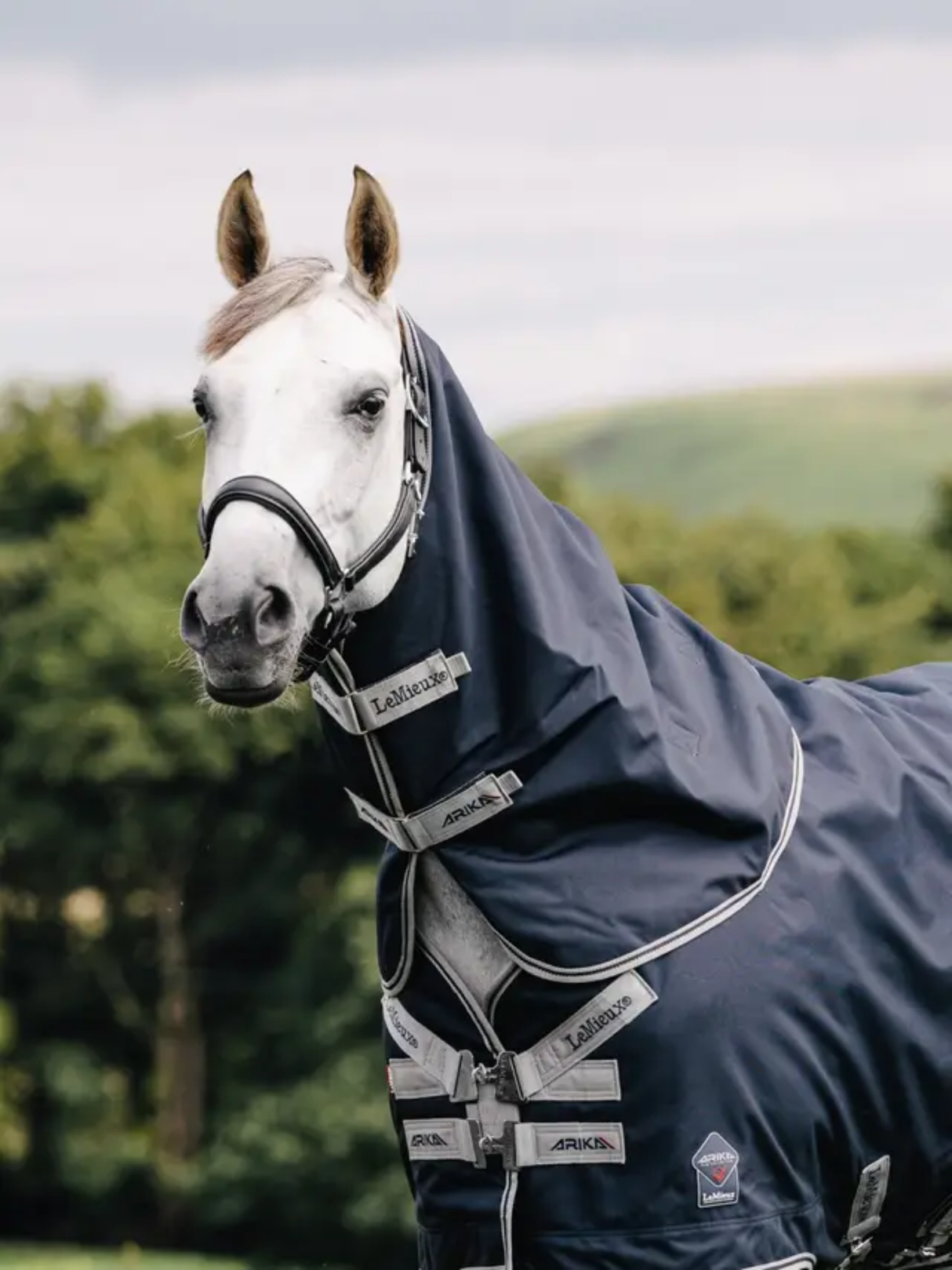 LeMieux Arika Stable-Tek Neck Cover 50g Navy