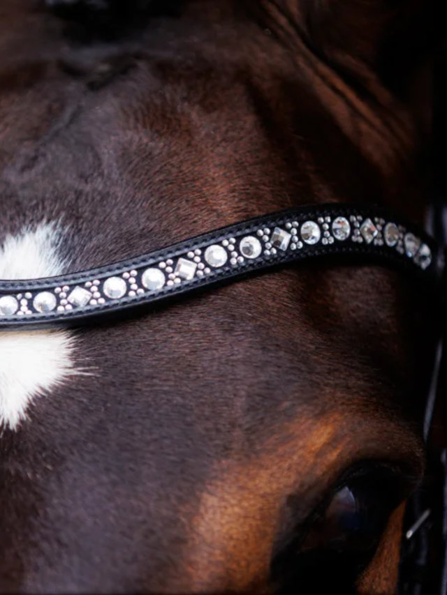 SD Design Antobello Bridle Black