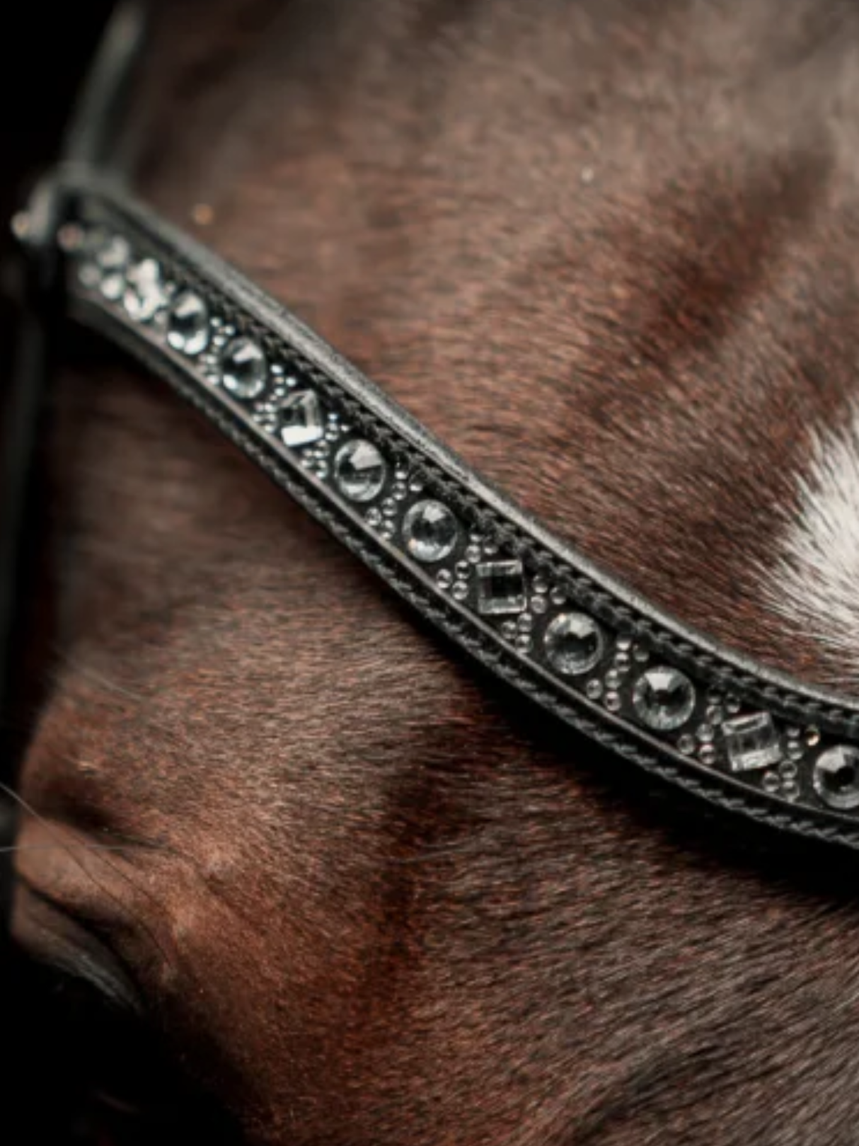SD Design Antobello Bridle Black