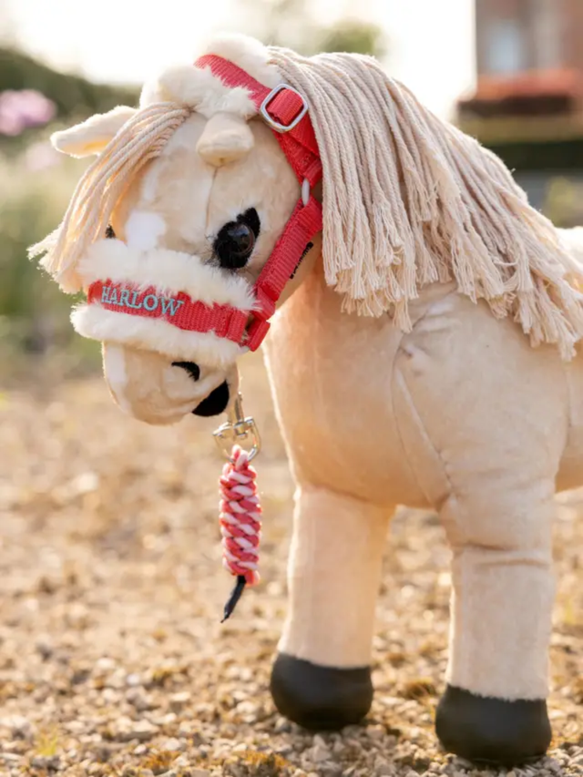 Harlow Toy Pony Headcollar & Leadrope Coral Crush