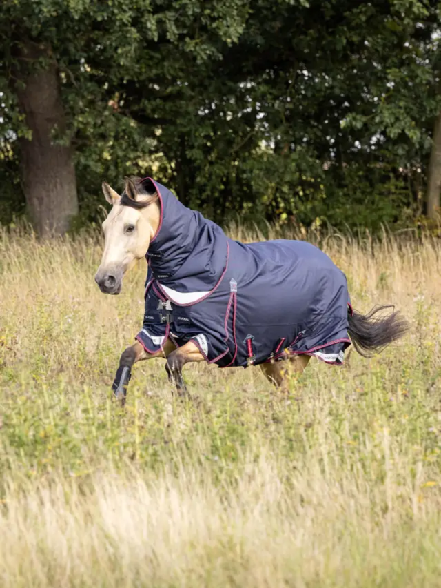 LeMieux Kudos Turnout Rug 50g Navy
