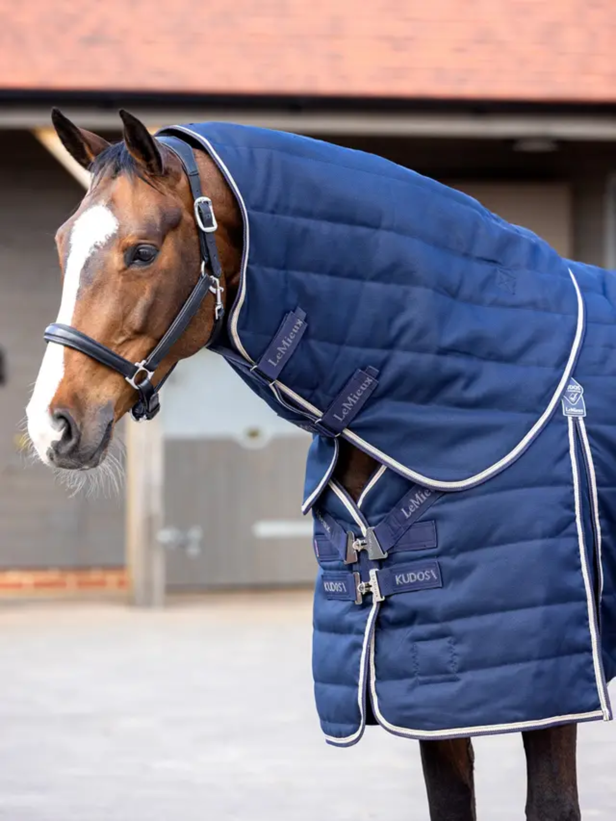 LeMieux Kudos Stable Neck Cover 200g Navy