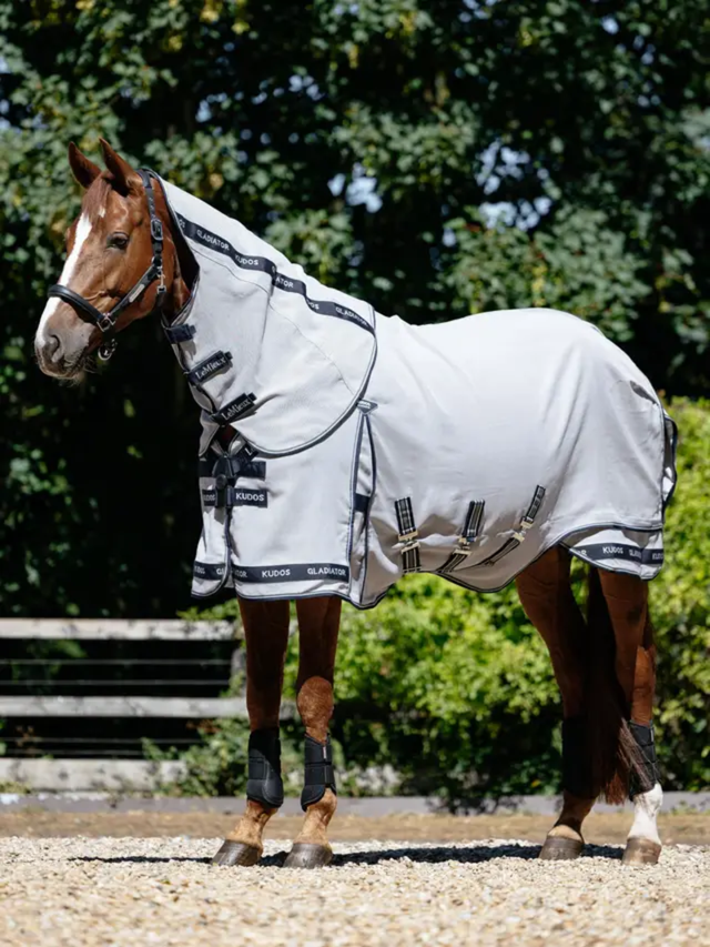 LeMieux Kudos Gladiator Fly Rug Grey