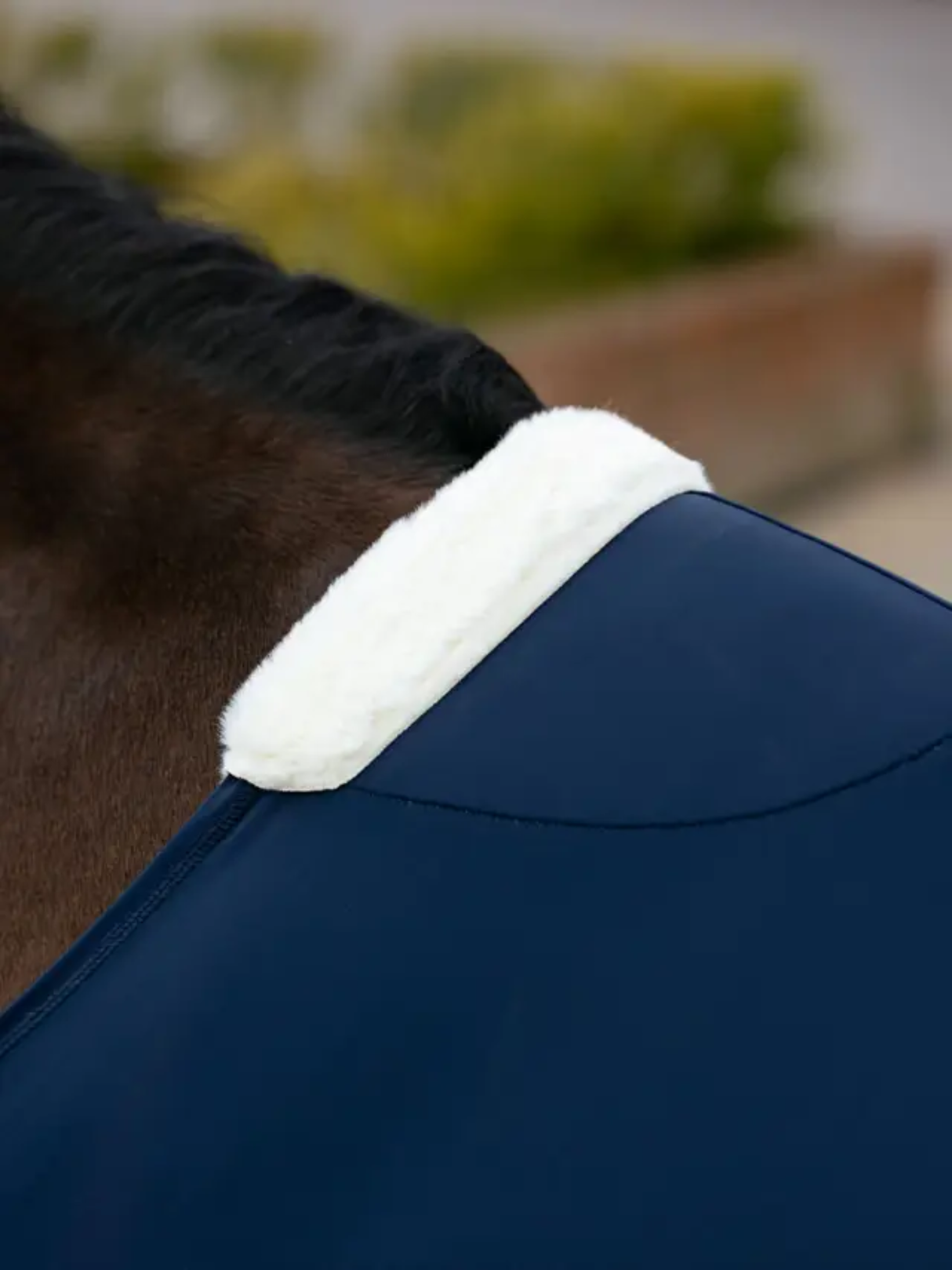LeMieux Sensitive Anti Rub Bib Navy