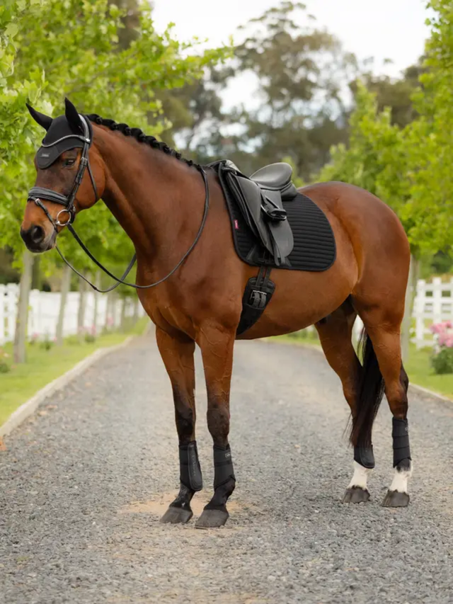 LeMieux Air-Tek Mesh Dressage Saddle Pad Black