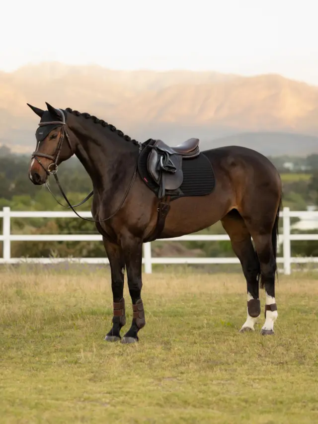 LeMieux Air-Tek Mesh Jump Saddle Pad Black