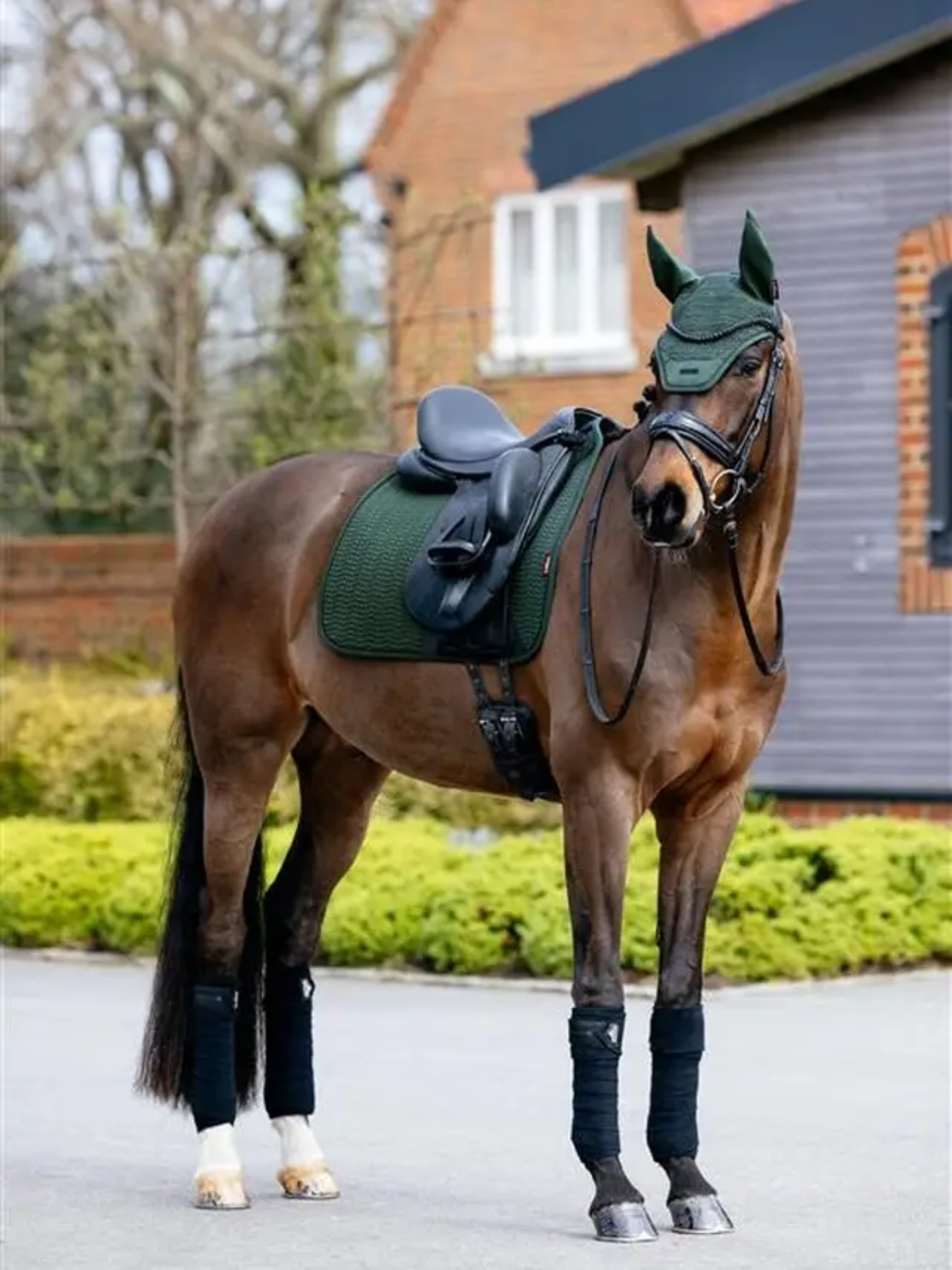 LeMieux Essence Dressage Saddle Pad Pine Green