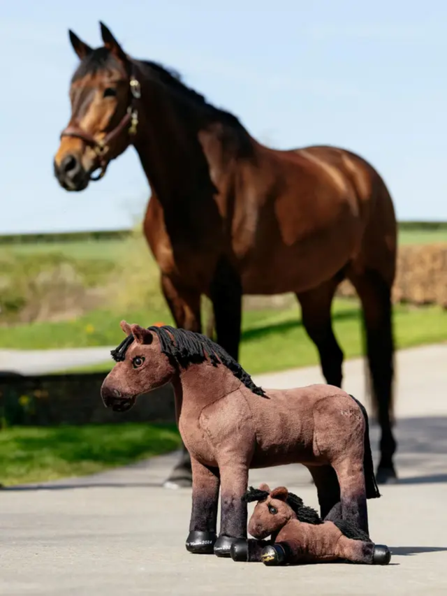 LeMieux Toy Pony Lordships Graffalo