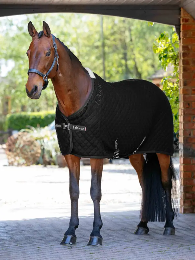 LeMieux Arika Clima-Tek Rug Black