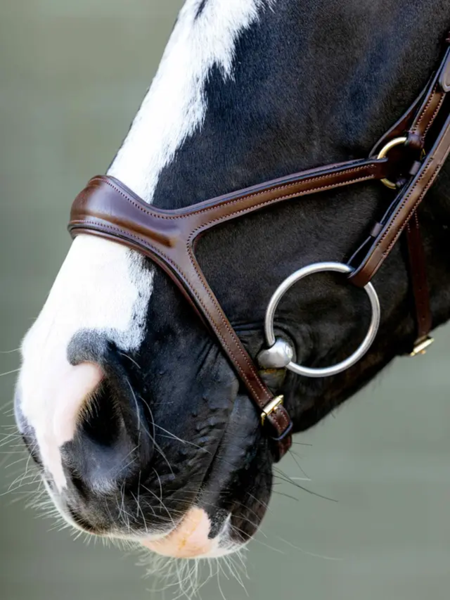 LeMieux Kudos Sport Bridle Havana/Brass