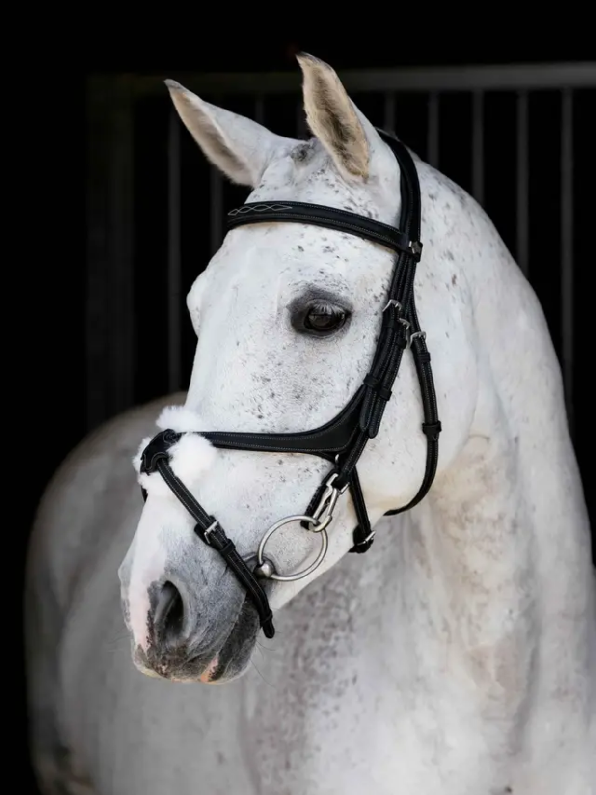 LeMieux Kudos Grackle Work Bridle Black