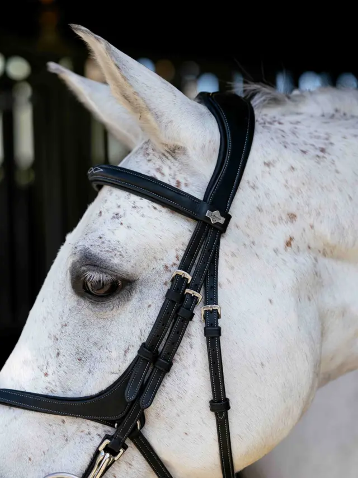 LeMieux Kudos Grackle Work Bridle Black