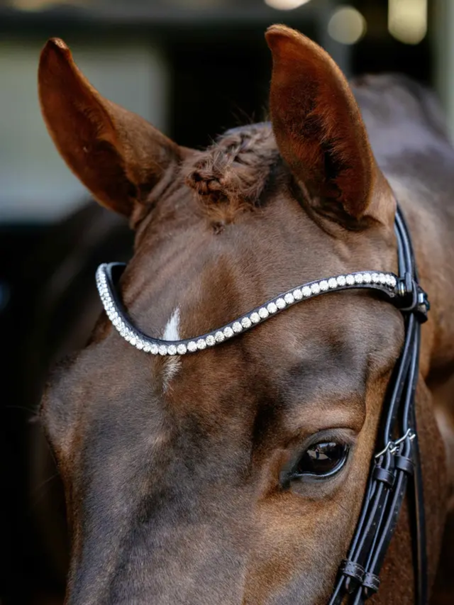 LeMieux Kudos Anatomic Dressage Bridle Brown