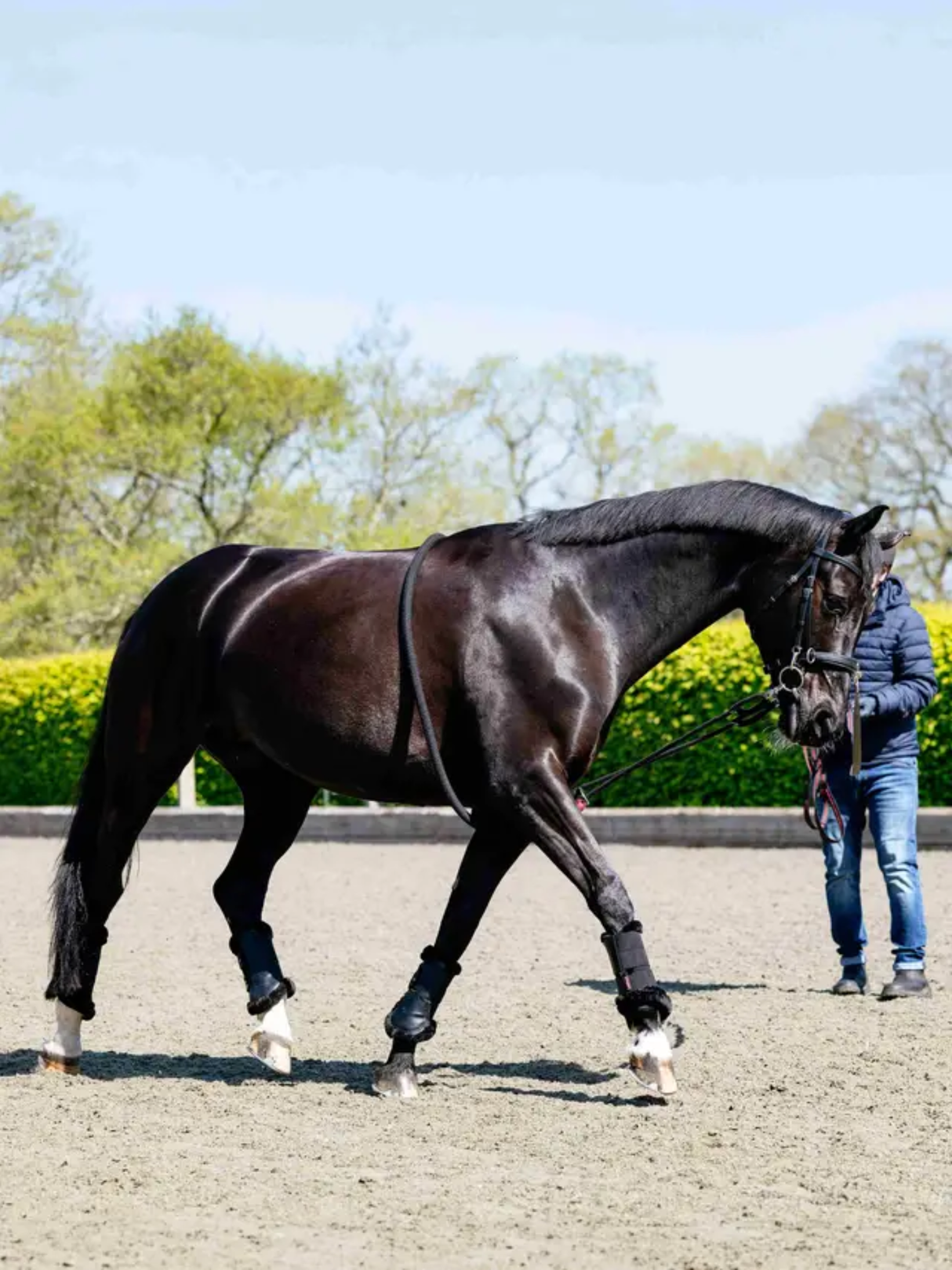 LeMieux Rope Lunging Aid Black